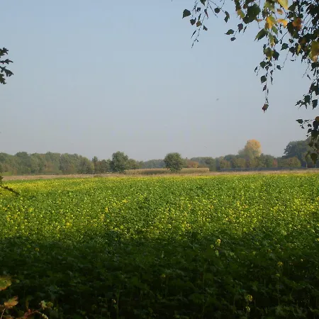 Ds * グローナウ