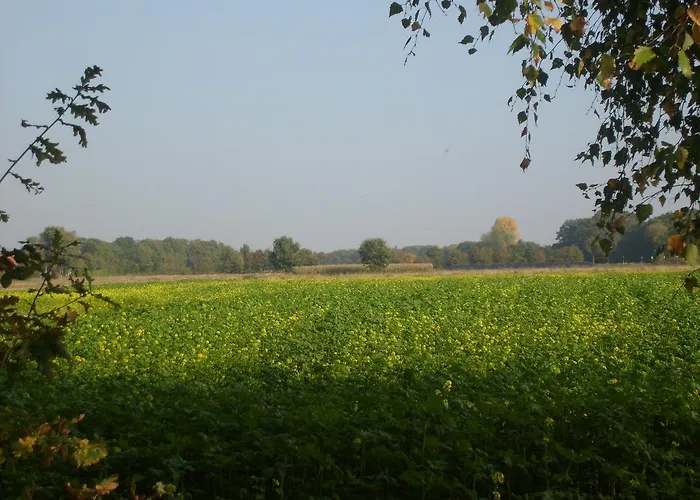 Ds * Gronau (Westfalen)